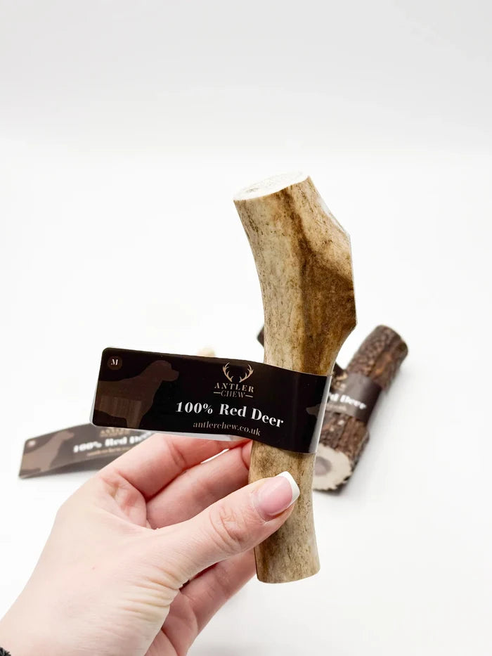 Deer Antler Whole & Split - Various Sizes