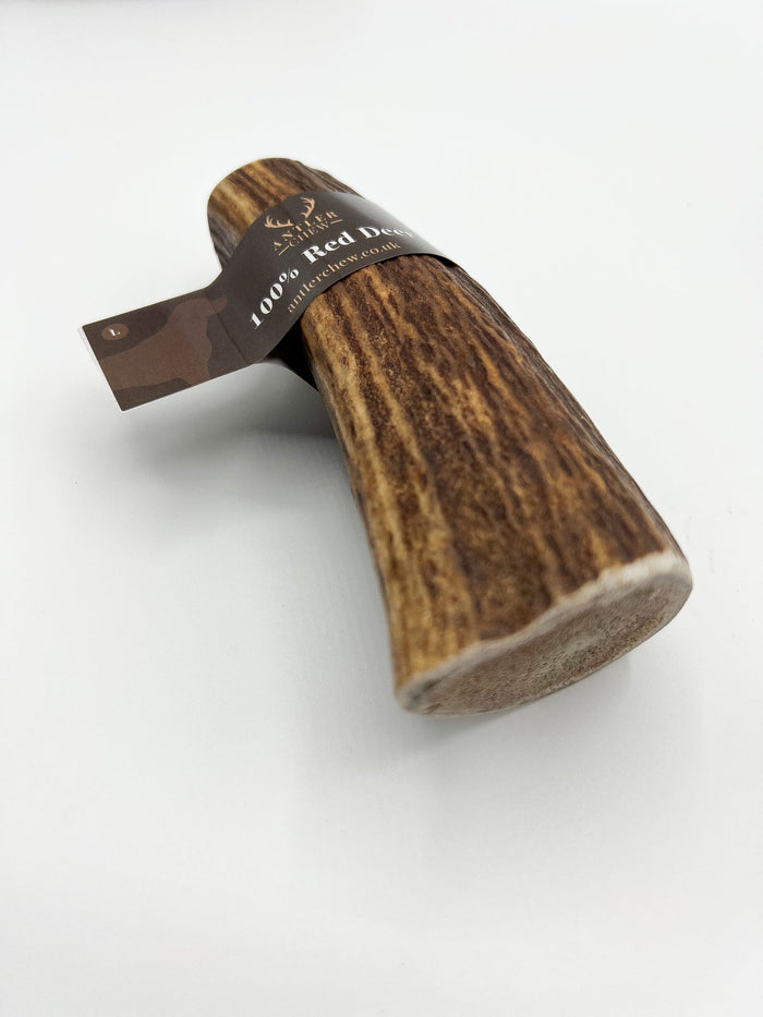 Deer Antler Whole & Split - Various Sizes