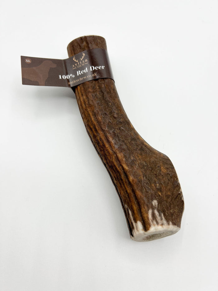 Deer Antler Whole & Split - Various Sizes
