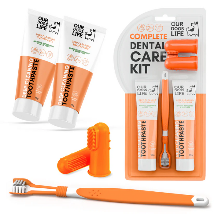 Dental Care Kit - Toothpaste and Toothbrush Set