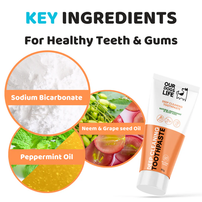 Dental Care Kit - Toothpaste and Toothbrush Set