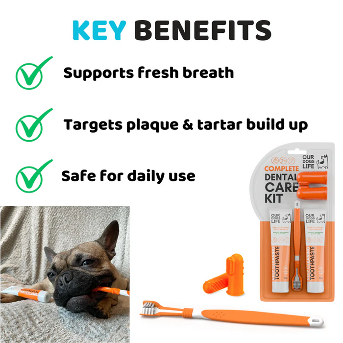 Dental Care Kit - Toothpaste and Toothbrush Set