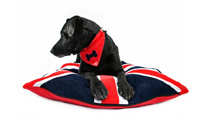 Dog Bed in Union Jack Flag Design