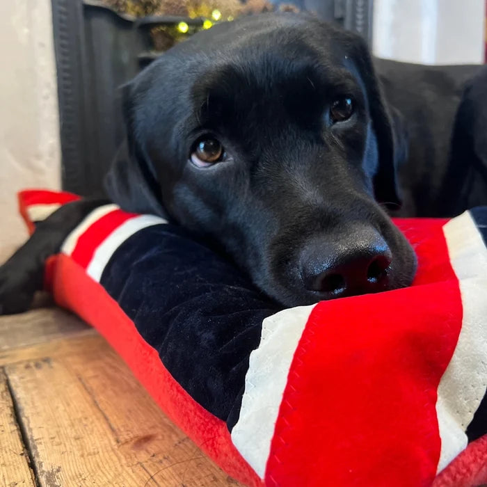 Dog Bed in Union Jack Flag Design