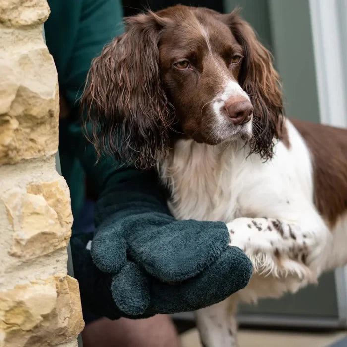 Dog Drying Mitts