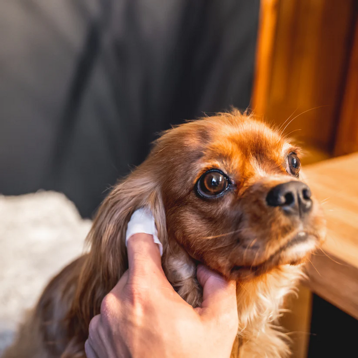 Ear Cleaning Wipes