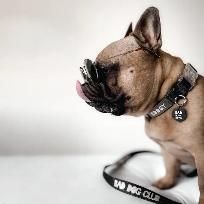 Eddgy Dog Collar - BDC