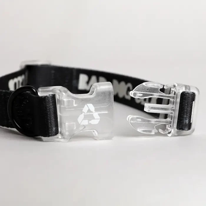 Eddgy Dog Collar - BDC