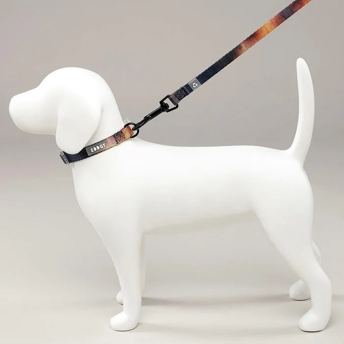 Eddgy Dog Collar - Bruce