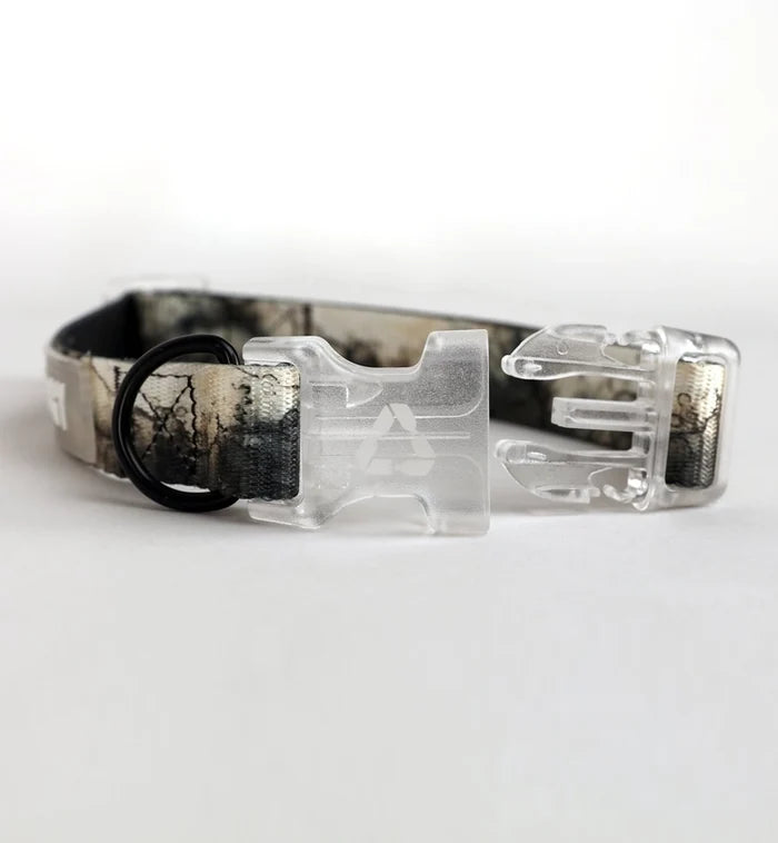 Eddgy Dog Collar - Loki