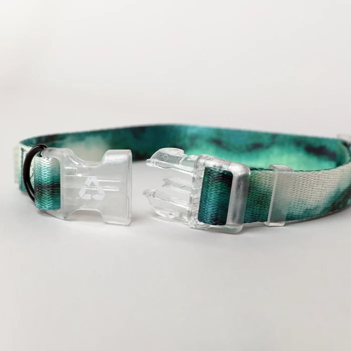 Eddgy Dog Collar - Maximus