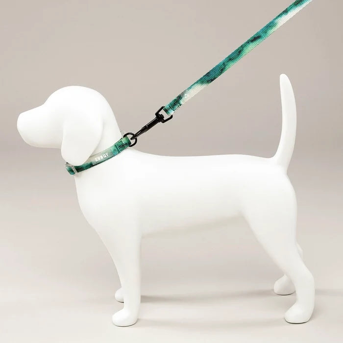 Eddgy Dog Collar - Maximus