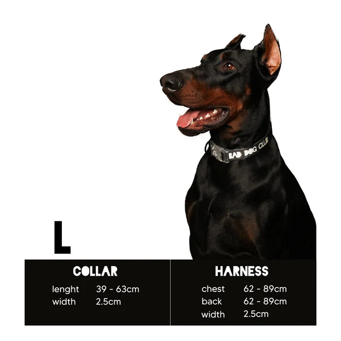 Eddgy Dog Collar - Maximus
