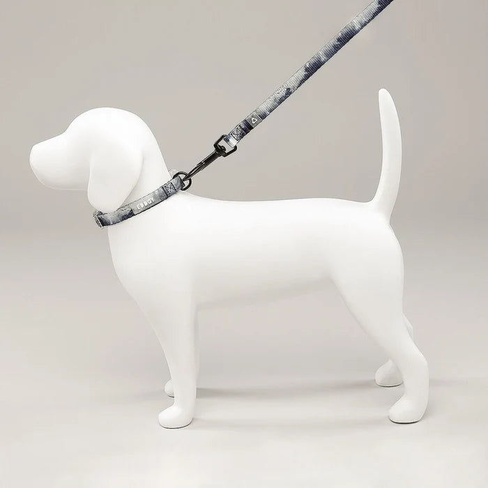 Eddgy Dog Collar - Skye