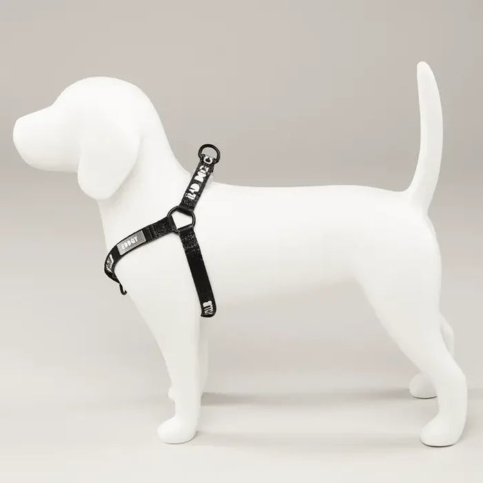 Eddgy Dog Harness - BDC