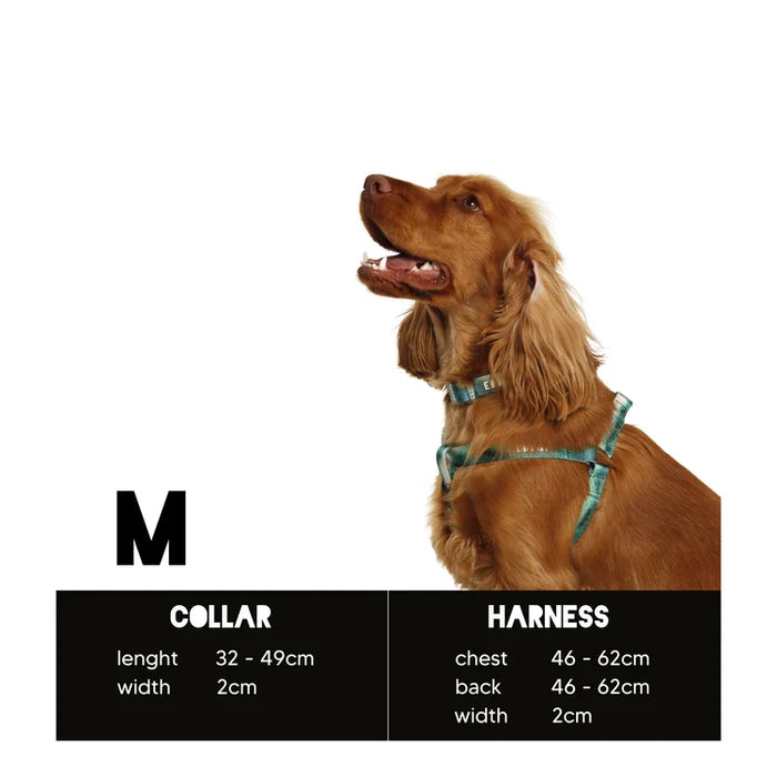 Eddgy Dog Harness - BDC