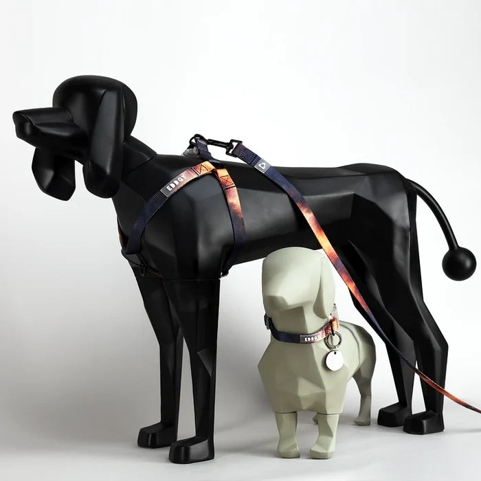 Eddgy Dog Harness - Bruce