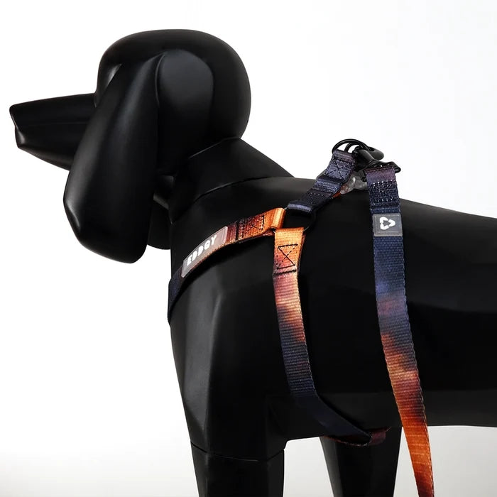 Eddgy Dog Harness - Bruce