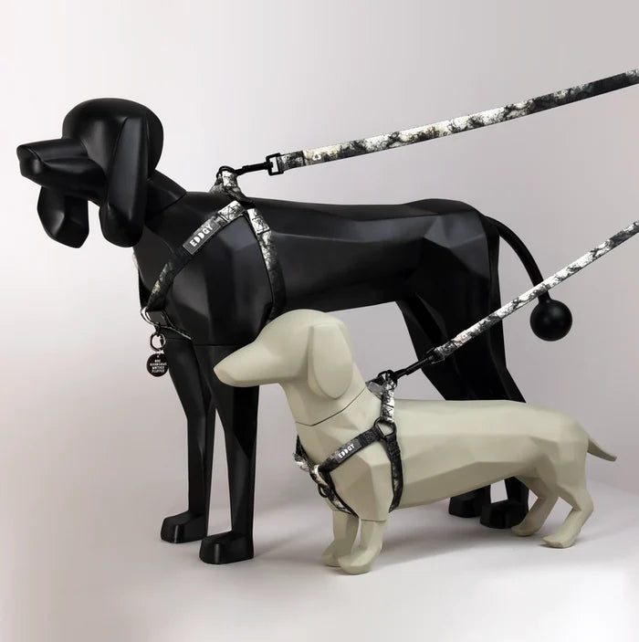 Eddgy Dog Harness - Loki