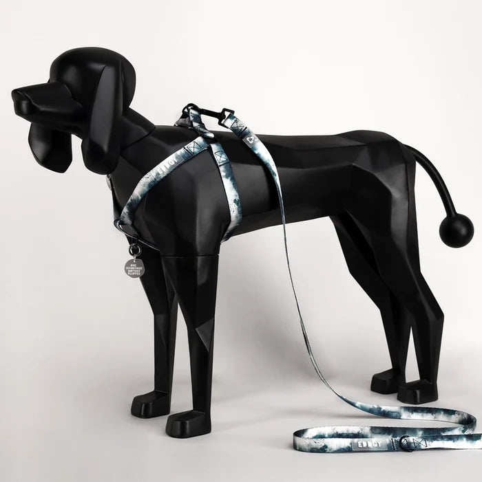 Eddgy Dog Harness - Skye