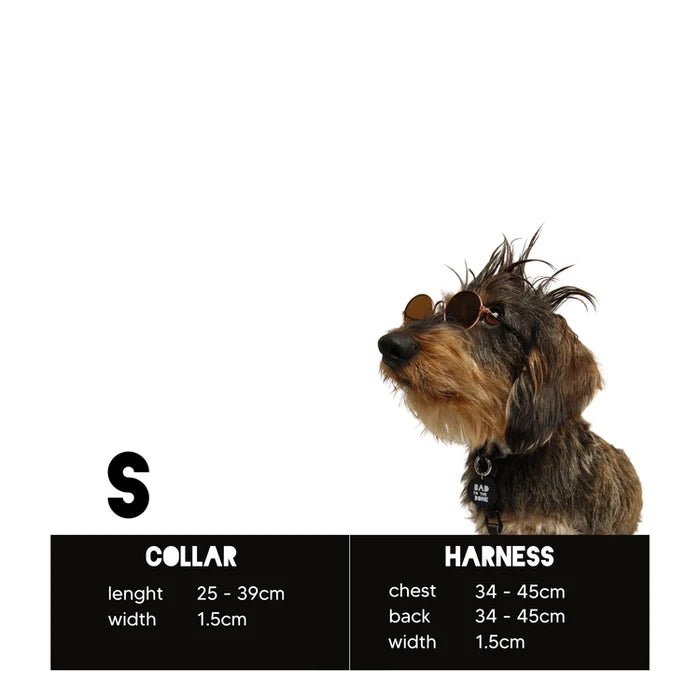 Eddgy Dog Harness - Skye