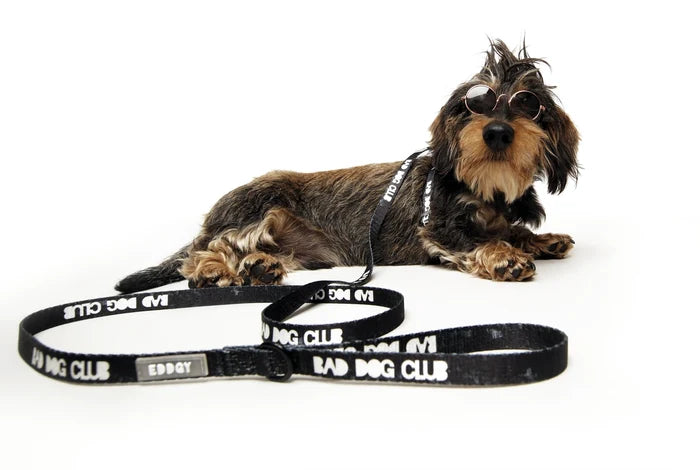 Eddgy Dog Lead - BDC