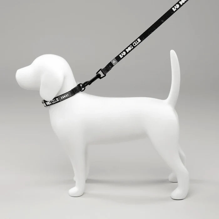 Eddgy Dog Lead - BDC