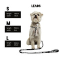 Eddgy Dog Lead - BDC