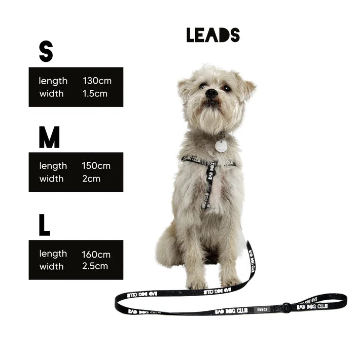 Eddgy Dog Lead - BDC