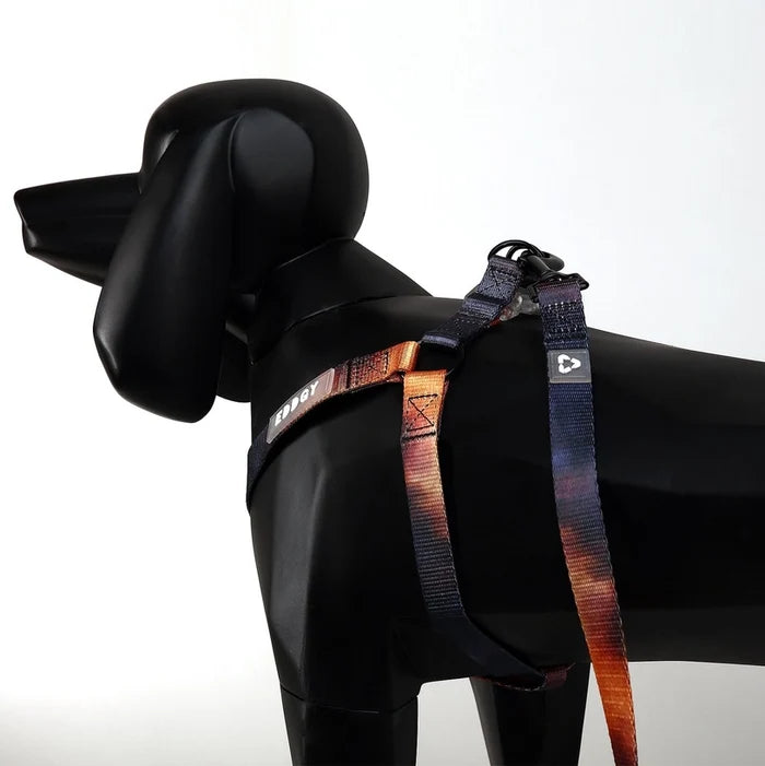 Eddgy Dog Lead - Bruce
