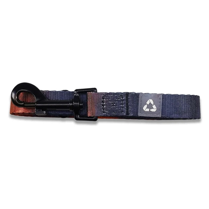 Eddgy Dog Lead - Bruce