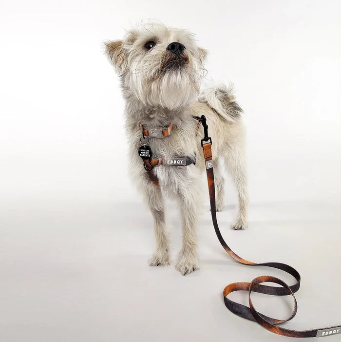 Eddgy Dog Lead - Bruce