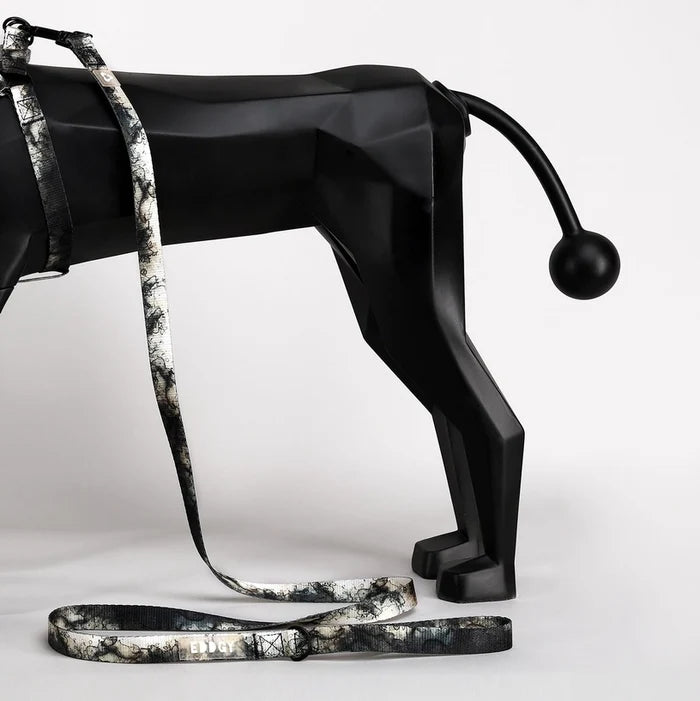 Eddgy Dog Lead - Loki
