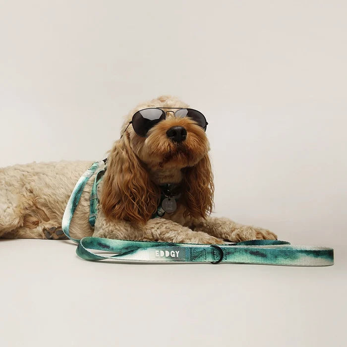 Eddgy Dog Lead - Maximus