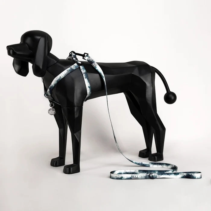 Eddgy Dog Lead - Skye