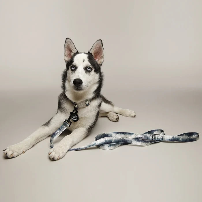 Eddgy Dog Lead - Skye