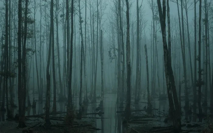 Foggy Lake Forest Wallpaper Mural - Peel and Stick Wall Art