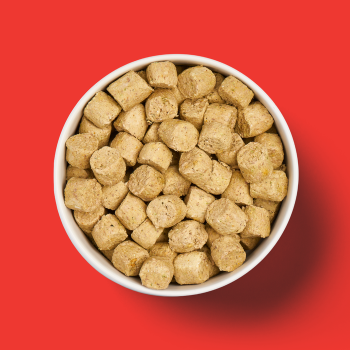 A white bowl of Freeze Dried Food - Beef 225g, with chunky cubes, sits on a bright red background.