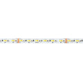 Full Colour RGB+CCT60 IP65 Water resist – decorative and architectural lighting | LAMP & LIGHT - Design forward Decorative lamp , Downlights, pendant lamp , striplights