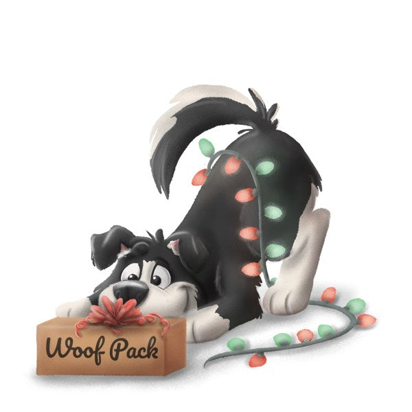 Gift 1 Month: Chewer