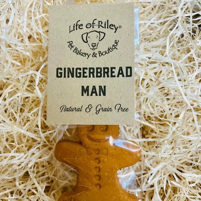 Gingerbread Man Dog Biscuit