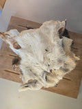 Hairy Beef Bark
