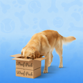 Half Box - Monthly - Regular