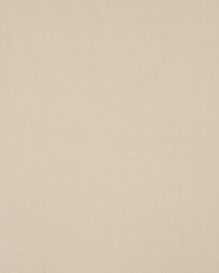 Light Yellow Dress Shirt