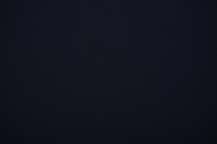 Loro Piana: Blue Mini Checks