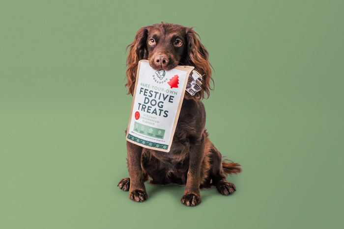 Make Your Own Christmas Dog Treats