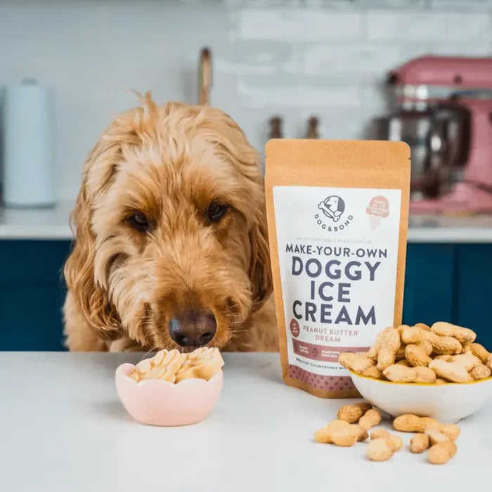 Make Your Own Doggy Ice Cream