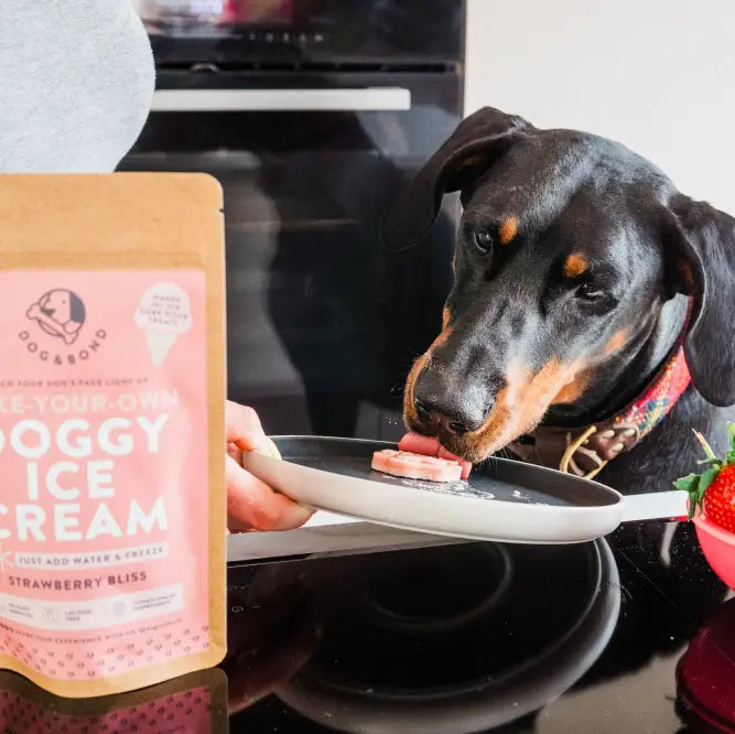 Make Your Own Doggy Ice Cream
