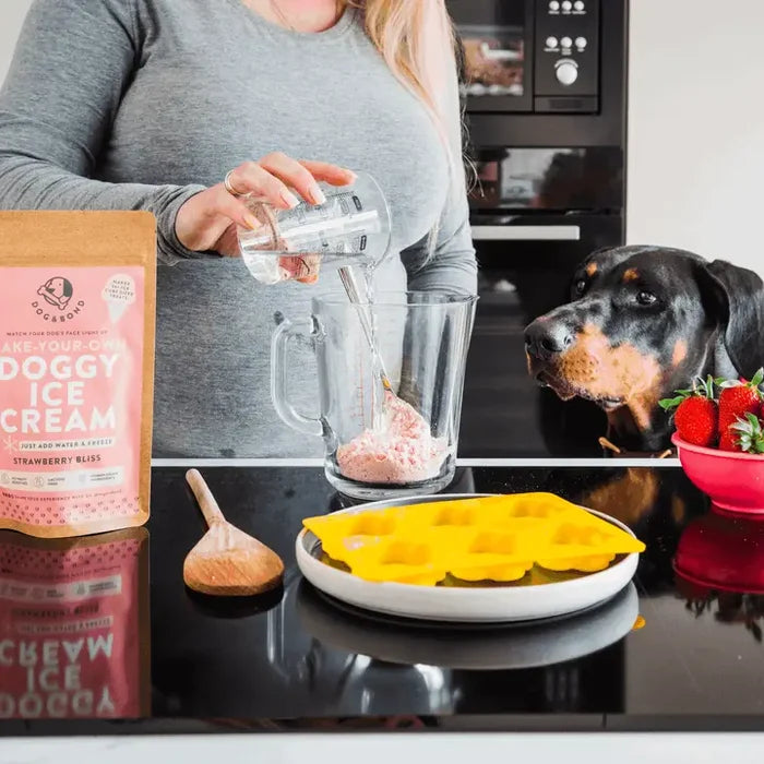 Make Your Own Doggy Ice Cream