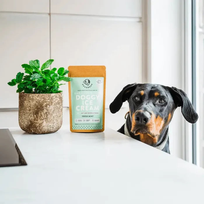 Make Your Own Doggy Ice Cream